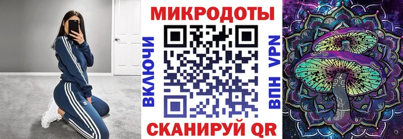 Купить  Питкяранта  Псилоцибиновые грибы Magic Shrooms 
